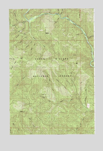 Skitwish Peak, ID USGS Topographic Map