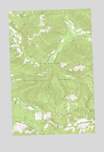 Skookoleel Creek, MT USGS Topographic Map