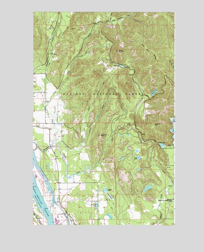 Skookum Creek, WA USGS Topographic Map