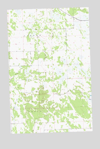 Skull Lake SE, MN USGS Topographic Map