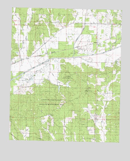 Skuna, MS USGS Topographic Map