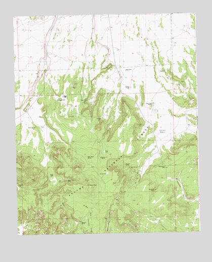 Black Peak, NM USGS Topographic Map