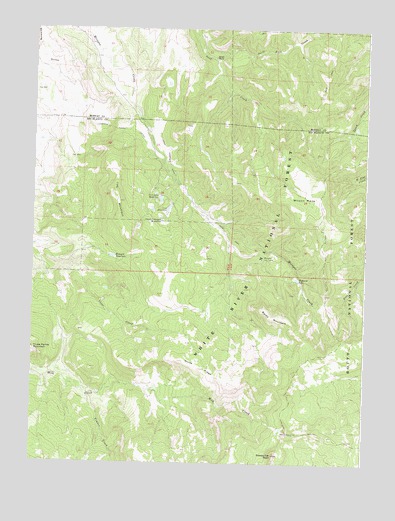 Sleepy Cat Peak, CO USGS Topographic Map