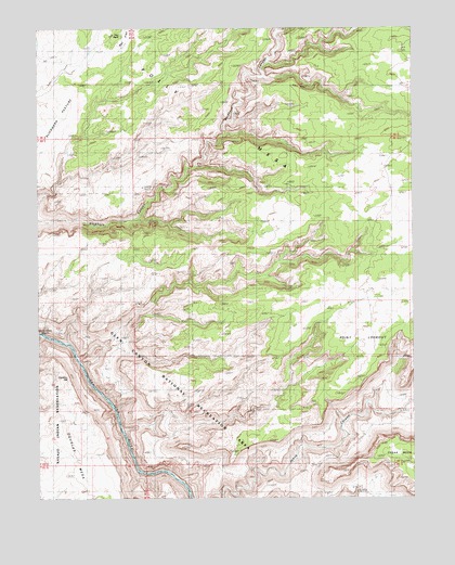 Slickhorn Canyon East, UT USGS Topographic Map