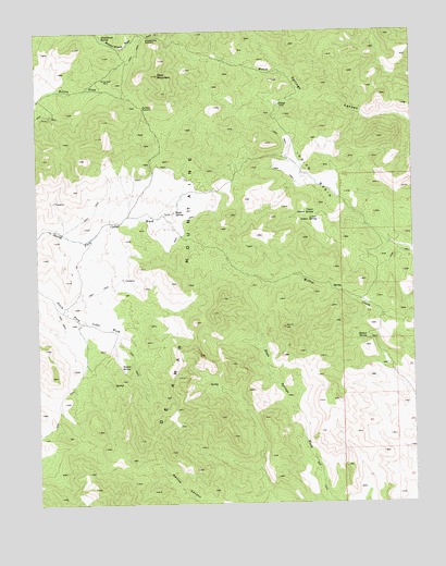 Slidy Mountain, NV USGS Topographic Map