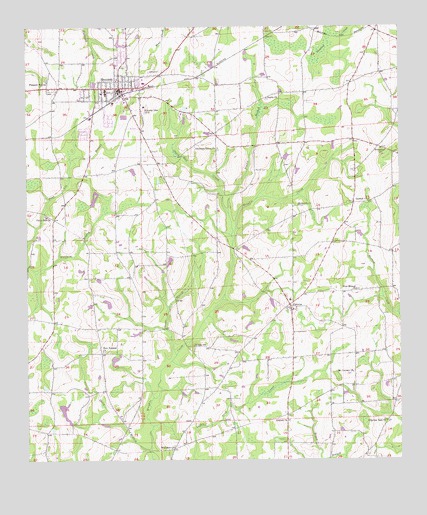 Slocomb, AL USGS Topographic Map
