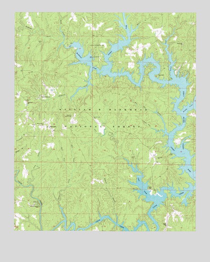 Black Pond, AL USGS Topographic Map