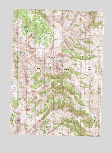 Smiley Mountain, ID USGS Topographic Map