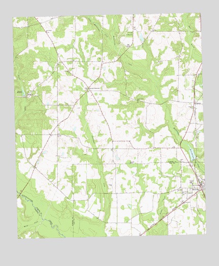 Smithville West, GA USGS Topographic Map