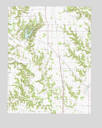 Snyder, IL USGS Topographic Map