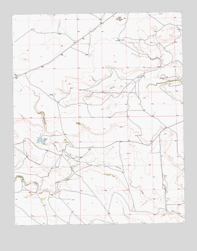 Snyder Lake, NM USGS Topographic Map