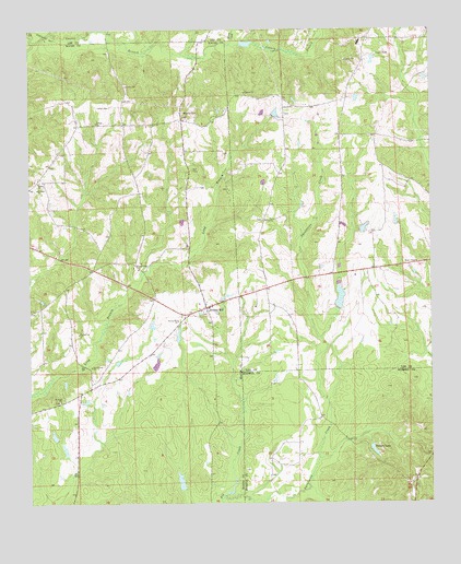 Society Hill, AL USGS Topographic Map