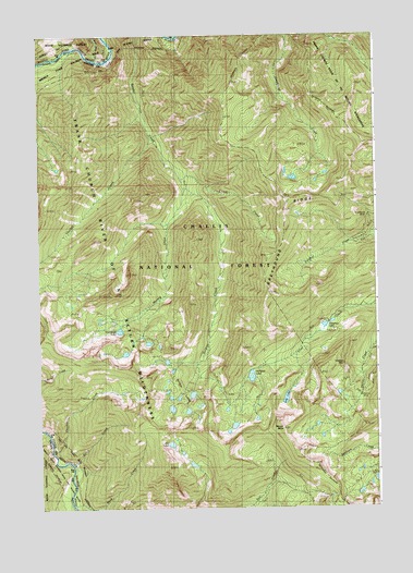 Soldier Creek, ID USGS Topographic Map