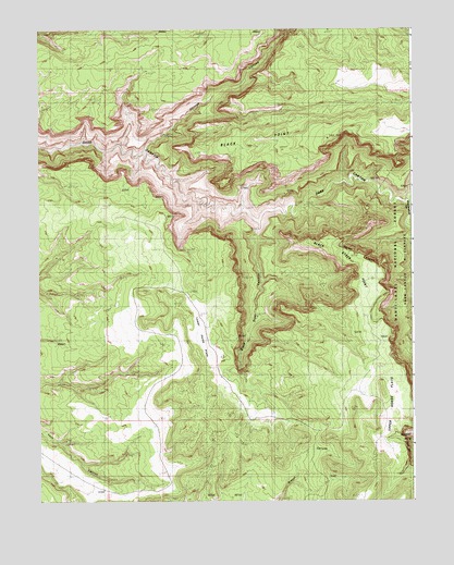 Black Steer Canyon, UT USGS Topographic Map