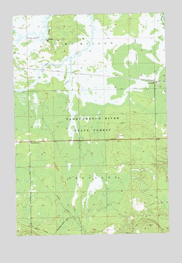 Soo Junction, MI USGS Topographic Map
