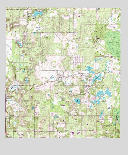Sorrento, FL USGS Topographic Map