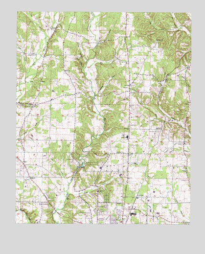 Blackburn, AL USGS Topographic Map
