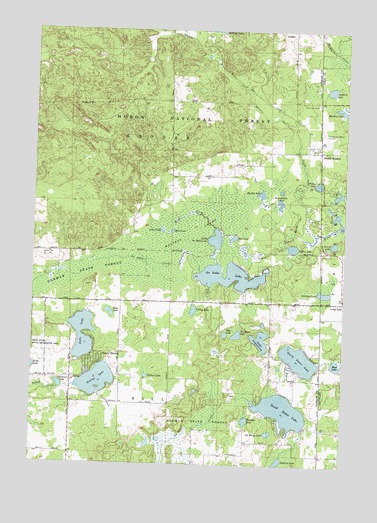 South Branch, MI USGS Topographic Map