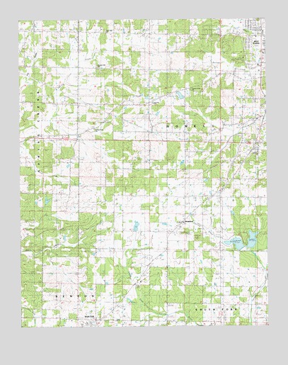 South Fork, MO USGS Topographic Map