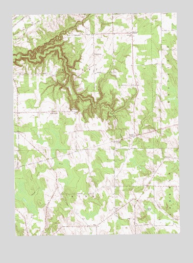 South Ripley, NY USGS Topographic Map