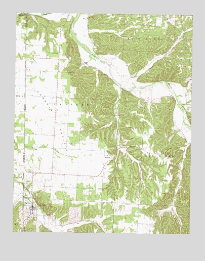 South West City, MO USGS Topographic Map