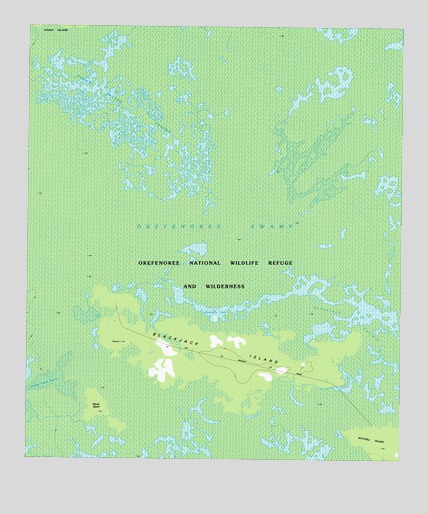 Blackjack Island, GA USGS Topographic Map