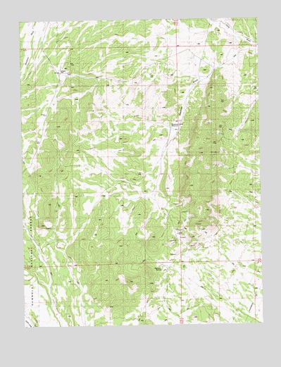 Blackjack Springs, NV USGS Topographic Map