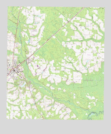 Blackshear East, GA USGS Topographic Map