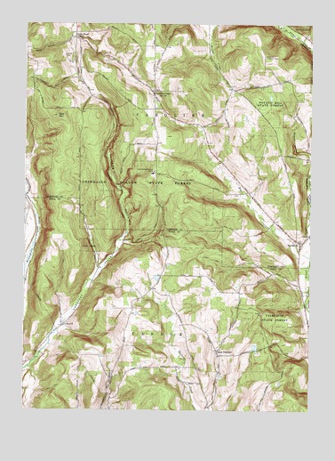 Speedsville, NY USGS Topographic Map