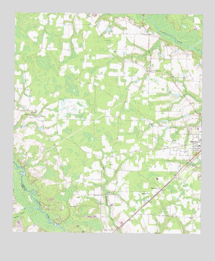 Blackshear West, GA USGS Topographic Map