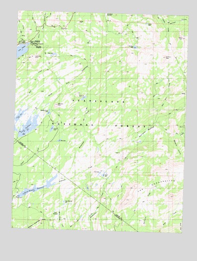 Spicer Meadow Reservoir, CA USGS Topographic Map