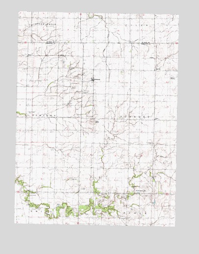 Blackstone, IL USGS Topographic Map