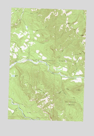 Spotted Bear Mountain, MT USGS Topographic Map