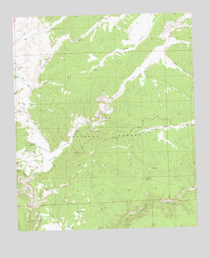 Spring Canyon, NM USGS Topographic Map
