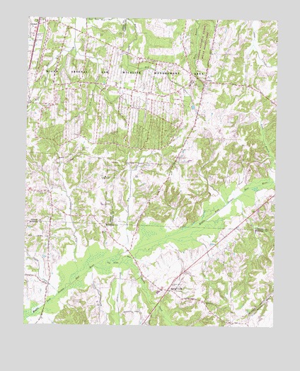 Spring Creek, TN USGS Topographic Map