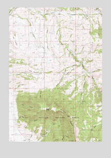 Blacktail Mountain, MT USGS Topographic Map