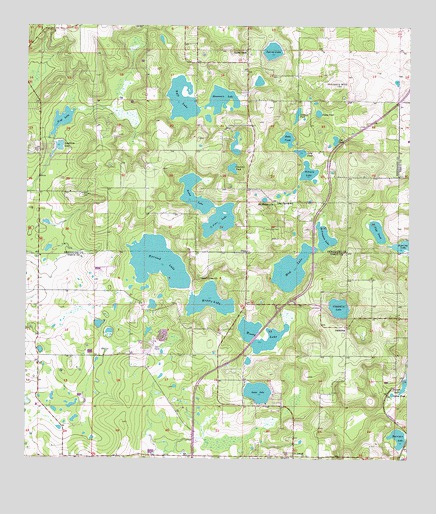 Spring Lake, FL USGS Topographic Map