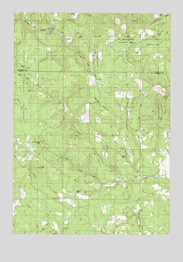 Springer Mountain, OR USGS Topographic Map