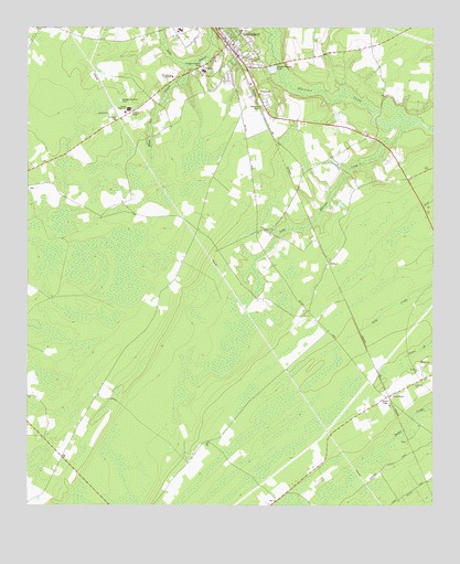 Springfield South, GA USGS Topographic Map