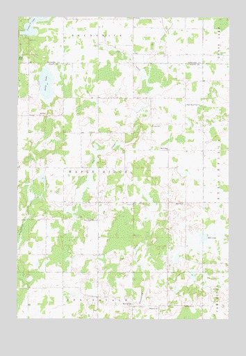 Springvale, MN USGS Topographic Map