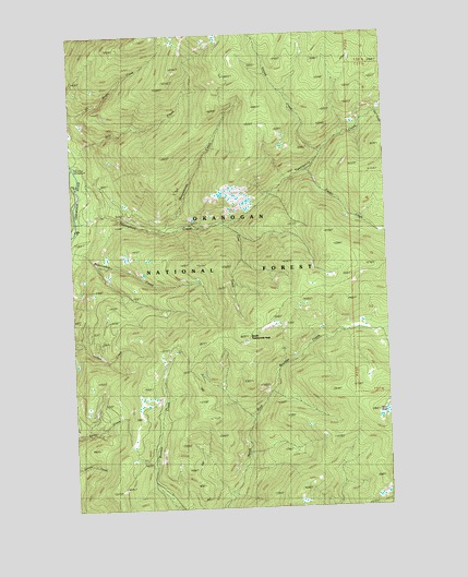 Spur Peak, WA USGS Topographic Map
