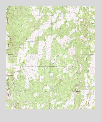 Spice Rock, TX USGS Topographic Map