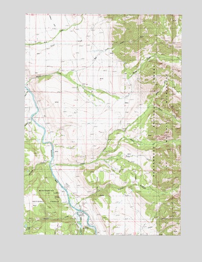 Bad Luck Creek, MT USGS Topographic Map