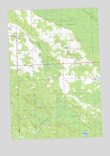 Stalwart, MI USGS Topographic Map