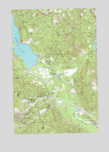 Stampede Pass, WA USGS Topographic Map