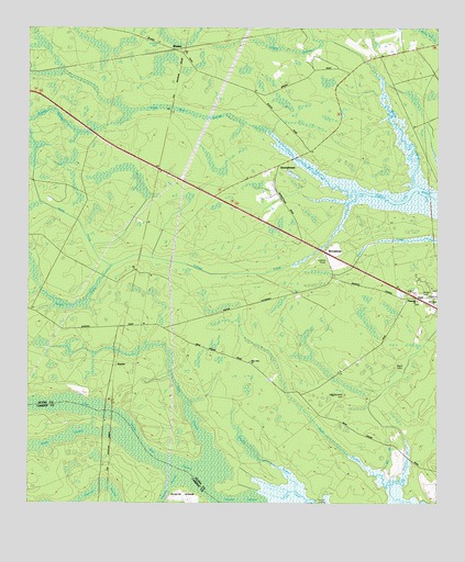Bladen, GA USGS Topographic Map