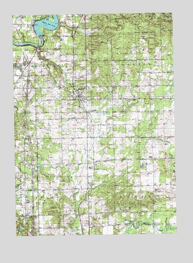 Stanwood, MI USGS Topographic Map