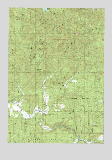 Blaine, OR USGS Topographic Map