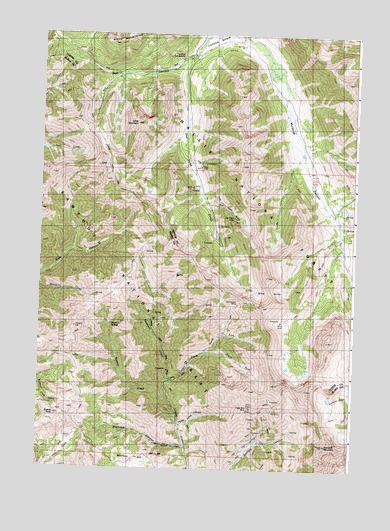 Star Hope Mine, ID USGS Topographic Map