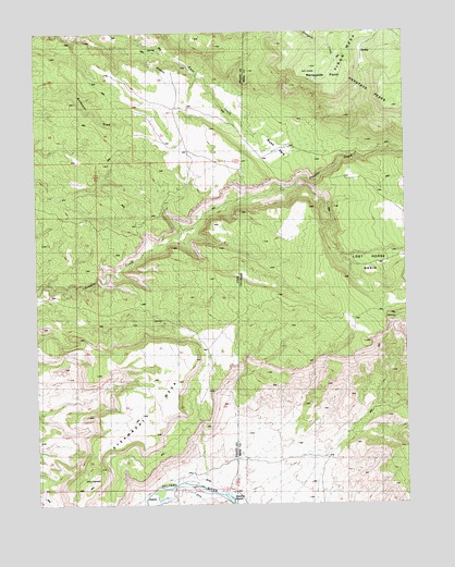 Steamboat Mesa, UT USGS Topographic Map